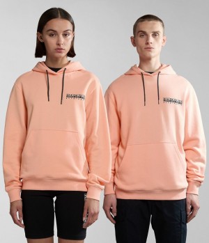 Napapijri Boyd Hoodie Hoodie Dames Roze | TQVRHID-75