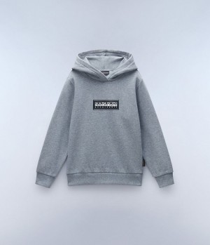 Napapijri Chamois Hoodie (4-16 YEARS) Hoodie Kinderen Grijs | XYCBDGF-70