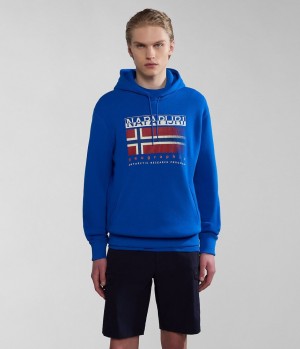 Napapijri Kreis Hoodie Hoodie Heren Blauw | PFYHUNT-02