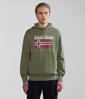 Napapijri Kreis Hoodie Hoodie Heren Groen | CDTIMUQ-39