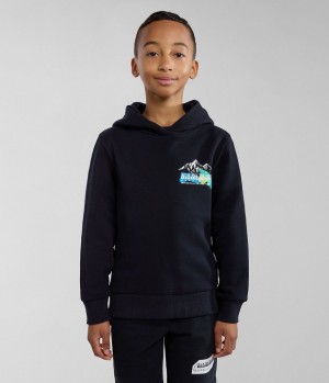 Napapijri Liard Hoodie (4-16 YEARS) Hoodie Kinderen Zwart | BRYUZCG-34