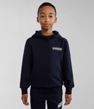 Napapijri Liard Hoodie (4-16 YEARS) Hoodie Kinderen Donkerblauw | DWHLUIF-85