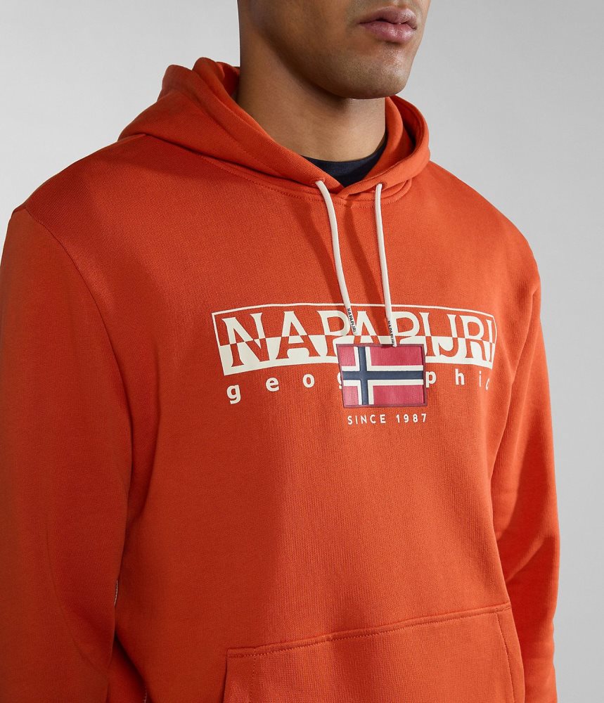 Napapijri Aylmer Hoodie Hoodie Heren Oranje | BVTWMED-72