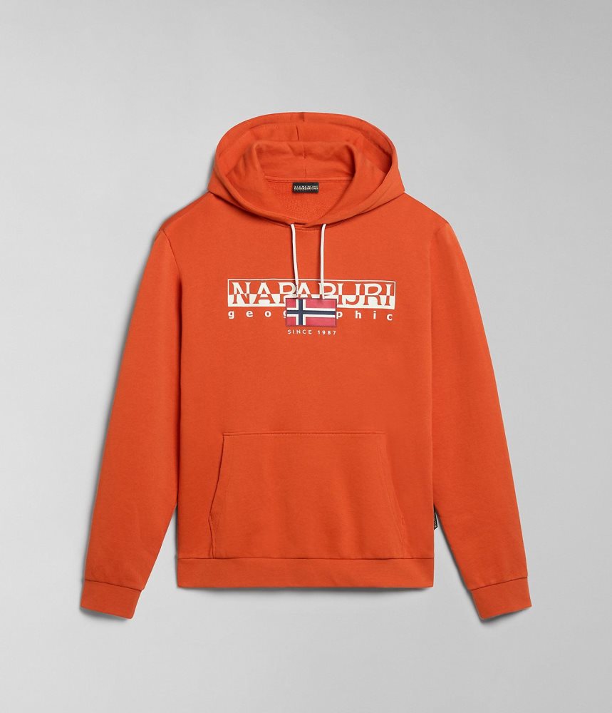 Napapijri Aylmer Hoodie Hoodie Heren Oranje | BVTWMED-72