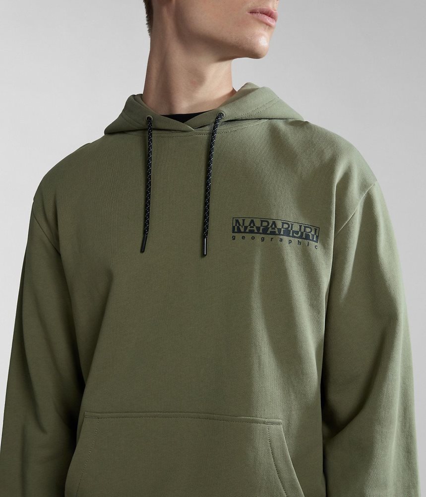 Napapijri Boyd Hoodie Hoodie Dames Groen | TCEVPKM-16