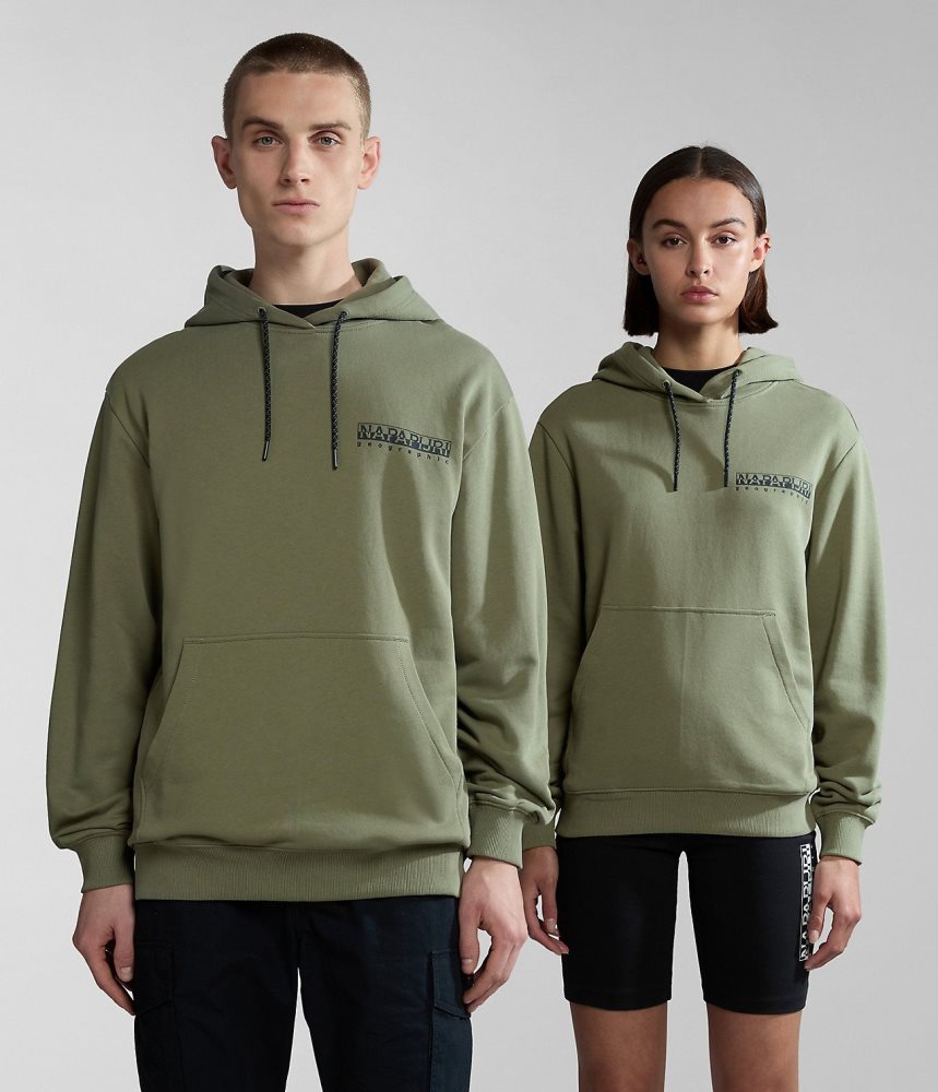 Napapijri Boyd Hoodie Hoodie Dames Groen | TCEVPKM-16