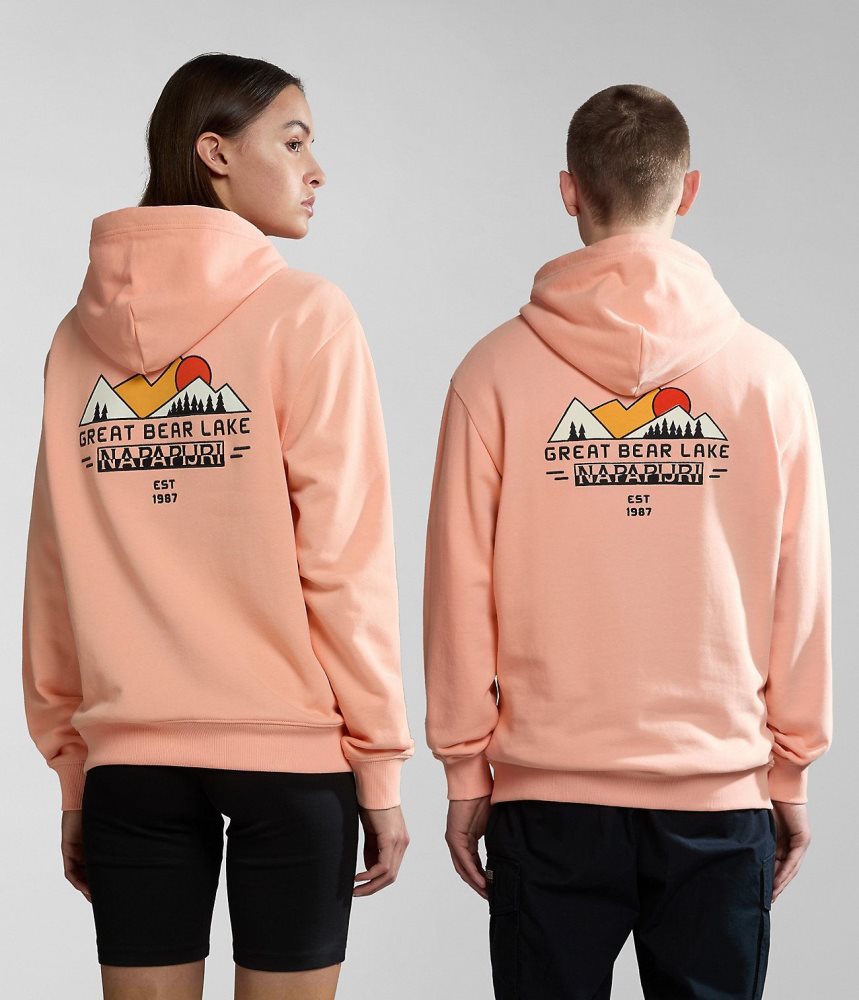 Napapijri Boyd Hoodie Hoodie Heren Roze | BWRTFMS-73