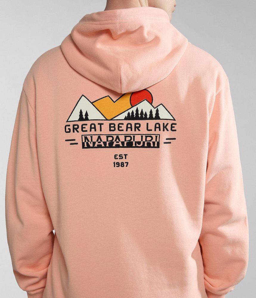 Napapijri Boyd Hoodie Hoodie Heren Roze | BWRTFMS-73