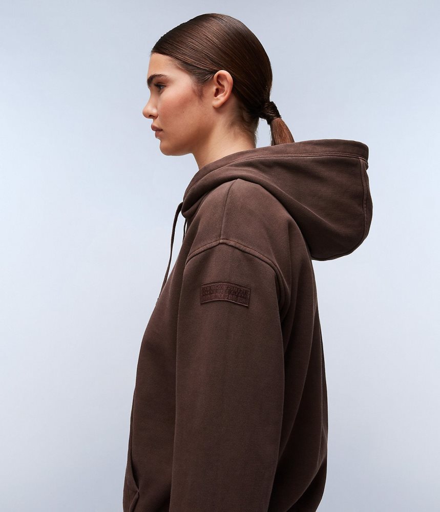 Napapijri Castor Hoodie Hoodie Dames Bruin | AOSBPQX-75