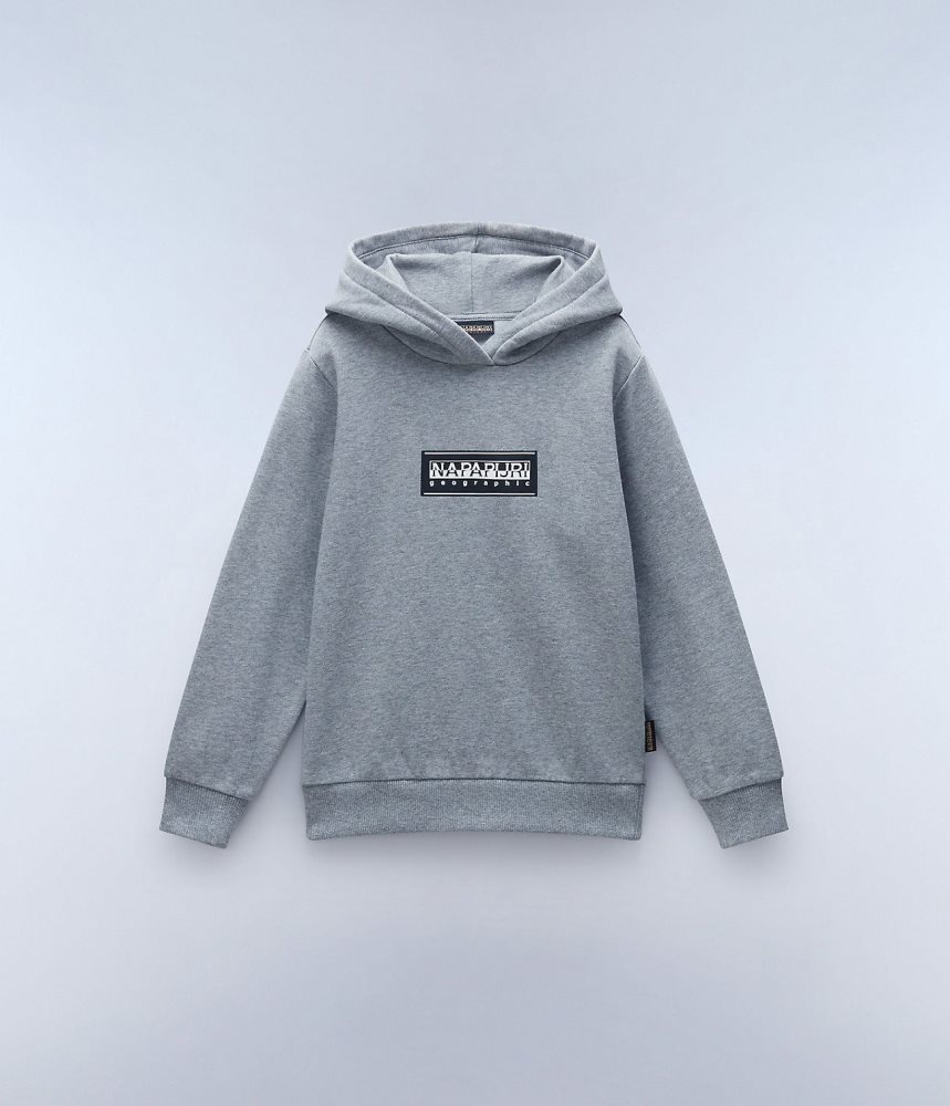 Napapijri Chamois Hoodie (4-16 YEARS) Hoodie Kinderen Grijs | XYCBDGF-70