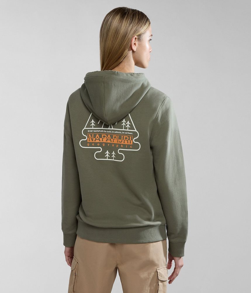 Napapijri Faber Hoodie Hoodie Dames Groen | RUVDNCZ-24