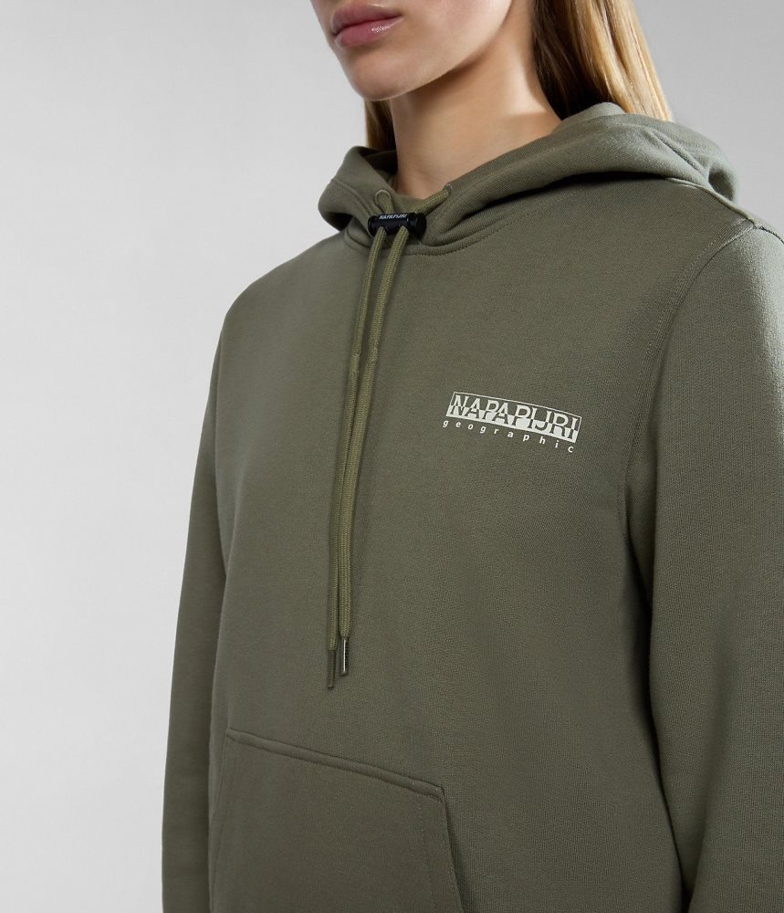 Napapijri Faber Hoodie Hoodie Dames Groen | RUVDNCZ-24