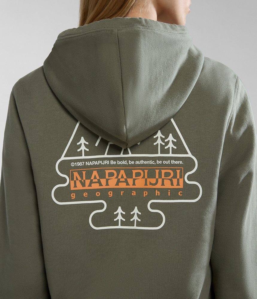 Napapijri Faber Hoodie Hoodie Dames Groen | RUVDNCZ-24