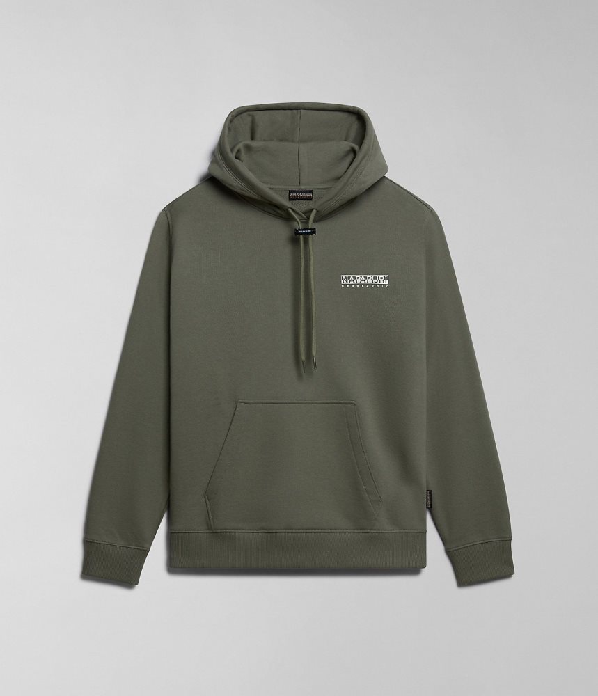 Napapijri Faber Hoodie Hoodie Dames Groen | RUVDNCZ-24