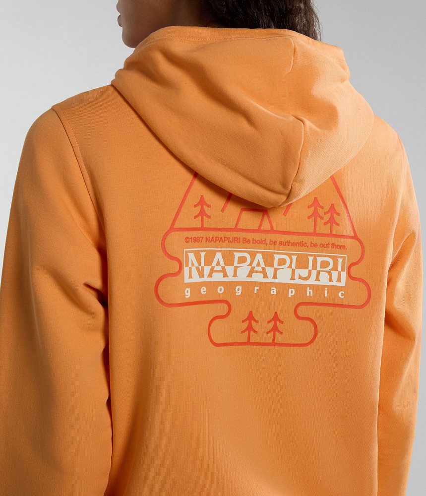 Napapijri Faber Hoodie Hoodie Dames Oranje | ALHWPIV-32