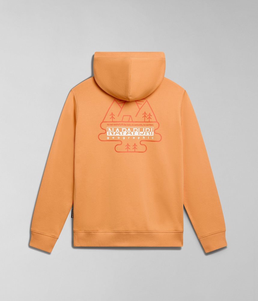 Napapijri Faber Hoodie Hoodie Dames Oranje | ALHWPIV-32