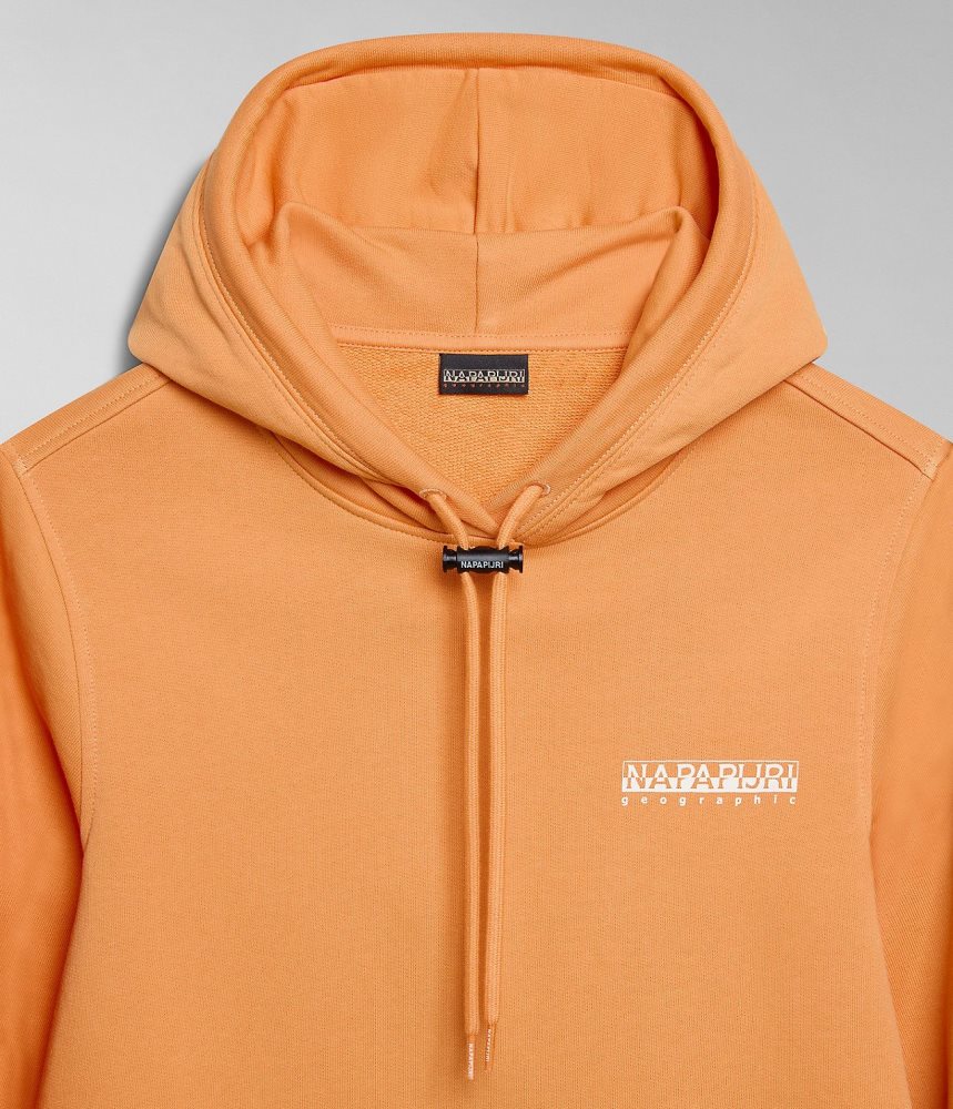 Napapijri Faber Hoodie Hoodie Dames Oranje | ALHWPIV-32