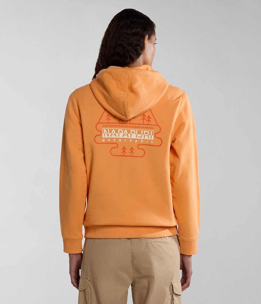 Napapijri Faber Hoodie Hoodie Dames Oranje | ALHWPIV-32