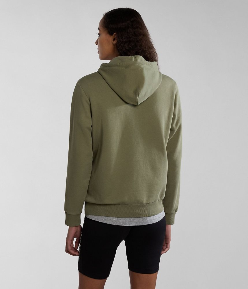 Napapijri Iaato Summer Hoodie Hoodie Dames Groen | EONWFXS-35