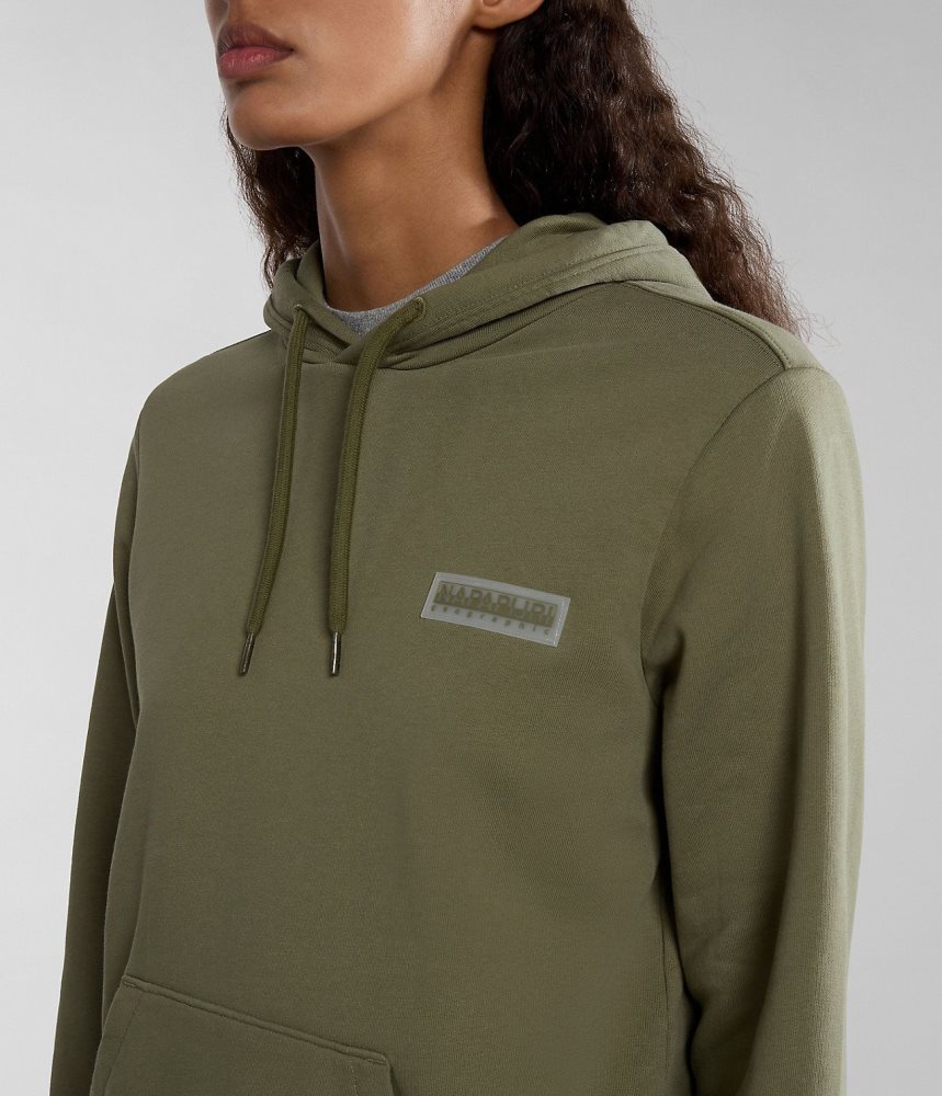 Napapijri Iaato Summer Hoodie Hoodie Dames Groen | EONWFXS-35