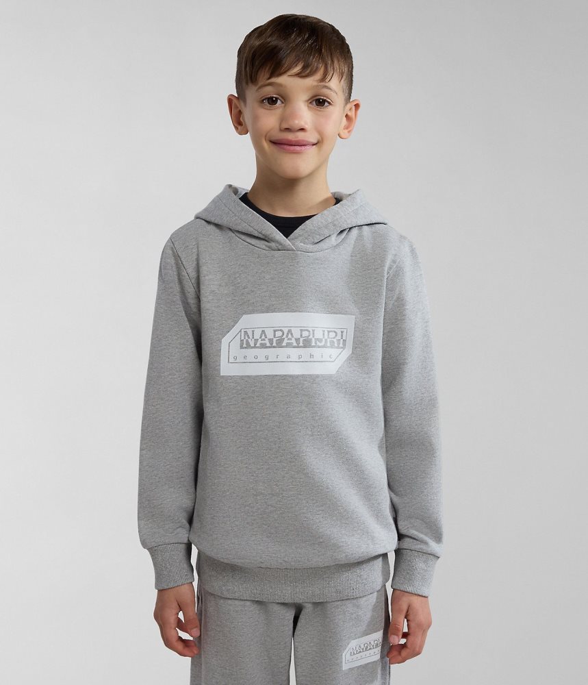 Napapijri Kitik Hoodie (4-16 YEARS) Hoodie Kinderen Grijs | WXBVRTA-05