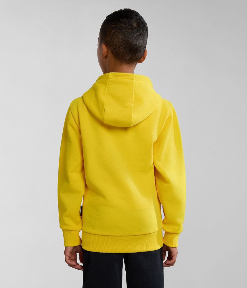 Napapijri Liard Hoodie (4-16 YEARS) Hoodie Kinderen Geel | CEABYGW-31