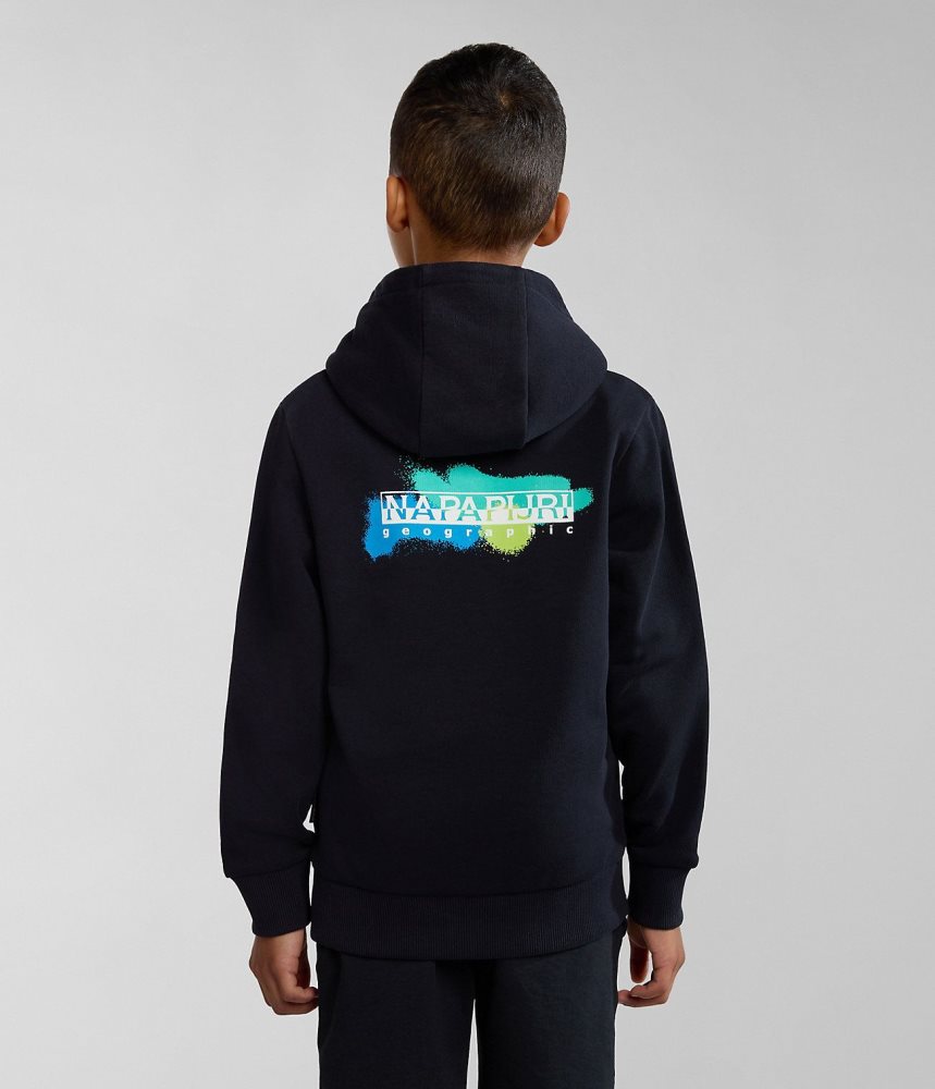 Napapijri Liard Hoodie (4-16 YEARS) Hoodie Kinderen Zwart | BRYUZCG-34