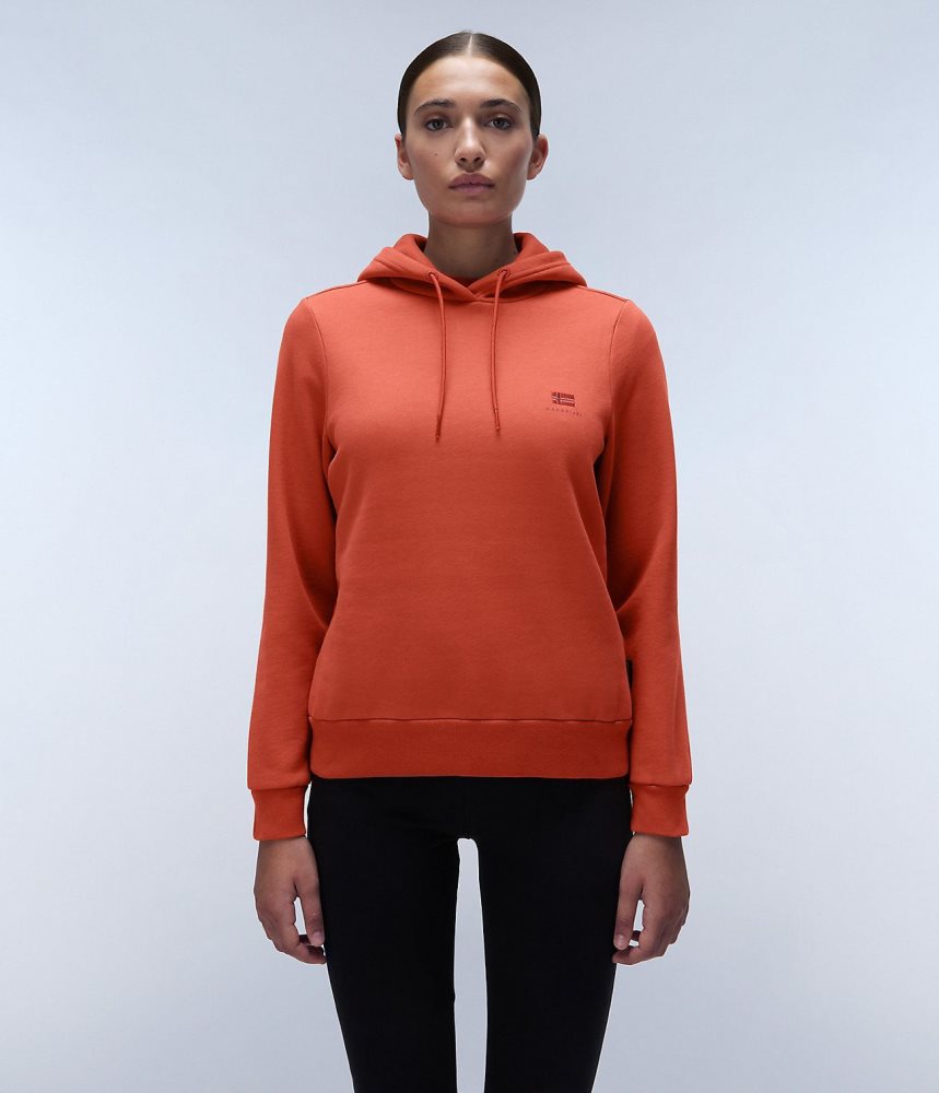 Napapijri Nina Winter Hoodie Hoodie Dames Rood | FXLWUZE-40